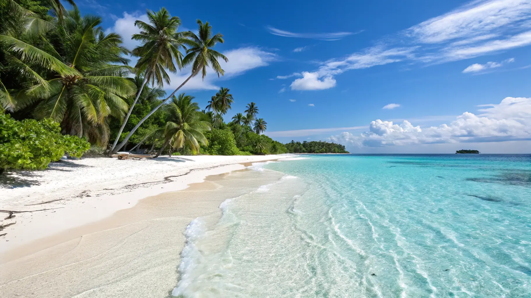 A beautiful beach in Nassau, Bahamas with palm trees and clear blue water.