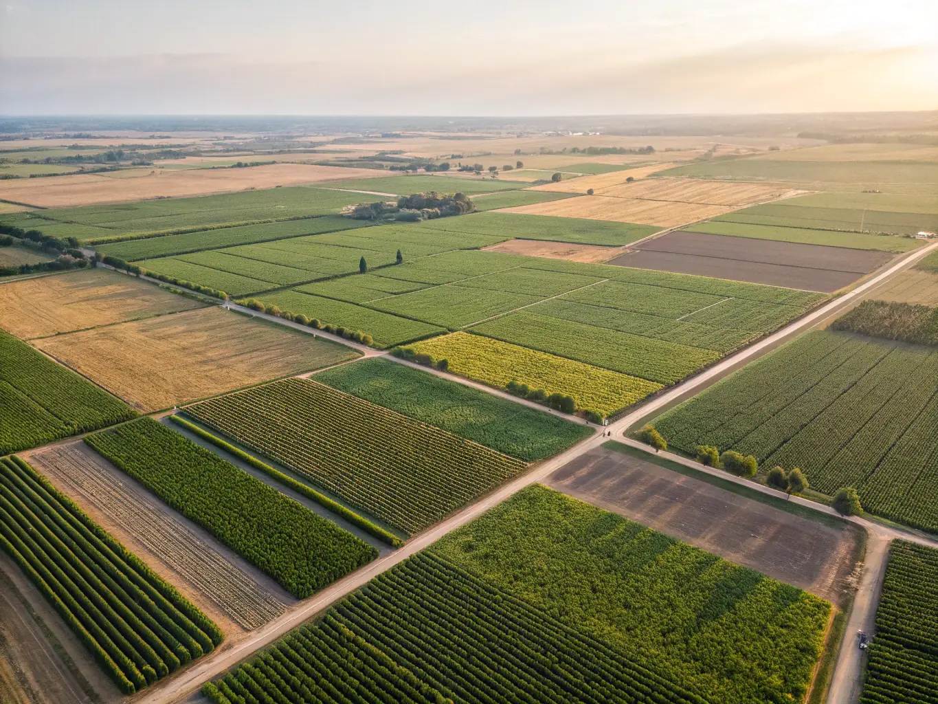 Aerial view of agricultural fields with different crops, showcasing precision monitoring and GIS data overlay.